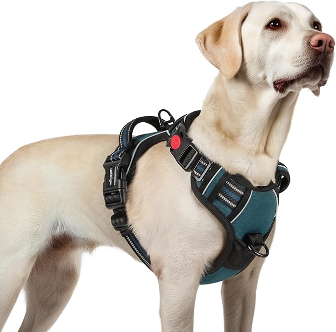 rabbitgoo Dog Harness for Large, No Pull Easy On & Off with 3 Buckles Pet Harness, Adjustable Soft Walking Vest with 2 Clips and Handle, Reflective for Large Dogs, Blue Coral, L