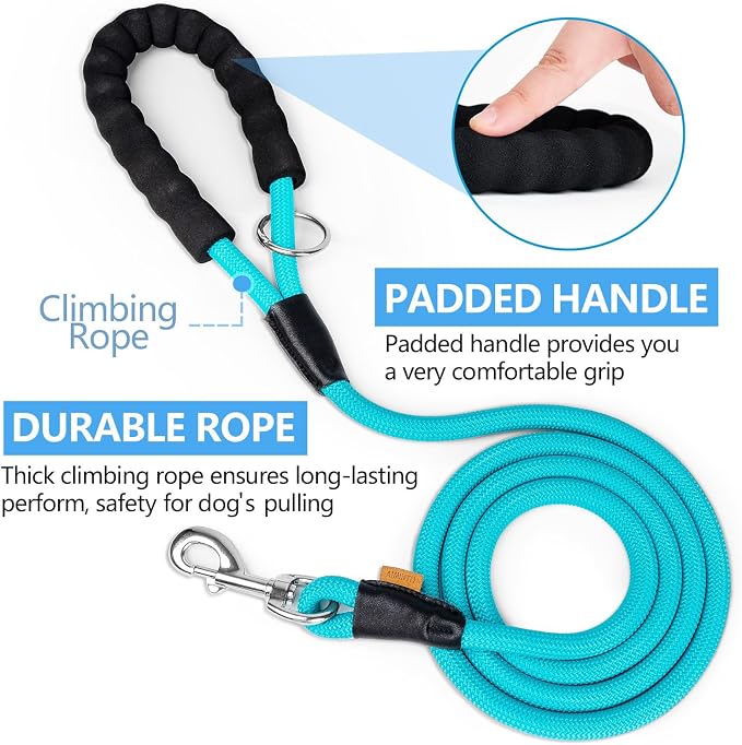 Dog Leash, Braided Rope Traction – Walking Training Lead for Small Dogs ((1/3") x 6FT, Light Blue)
