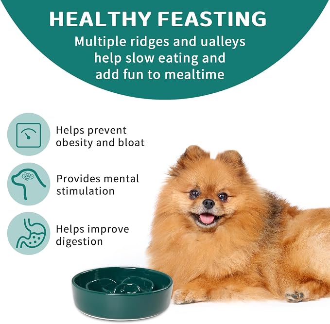 Slow Feeder Dog Bowls,Ceramic Slow Feeding Bowl for Small and Medium Breed,Anti Choking Puzzle Dog Food Bowl with Non-Slip Base for Fast Eater(Green, S-0.6CUP)