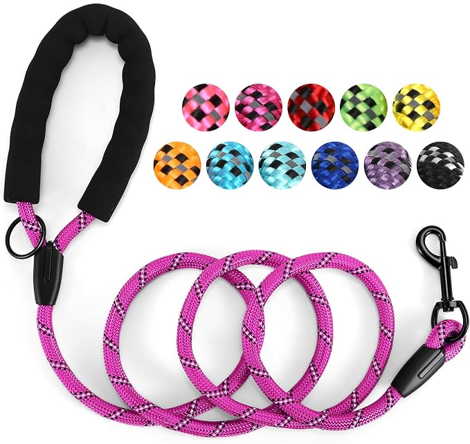 Heavy Duty Dog Leash - 4.9 FT for Large and Small Dogs - Strong Nylon, Comfortable Handle, Reflective Stitching - Ideal for Walking, Training, and Outdoor Activities, Hotpink