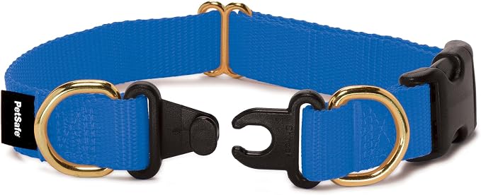 PetSafe KeepSafe Break-Away Collar 1 in Wide, Large, Royal Blue Prevent Collar Accidents for Your Dog or Puppy Improve Safety, Compatible with Leash Use, Adjustable Sizes