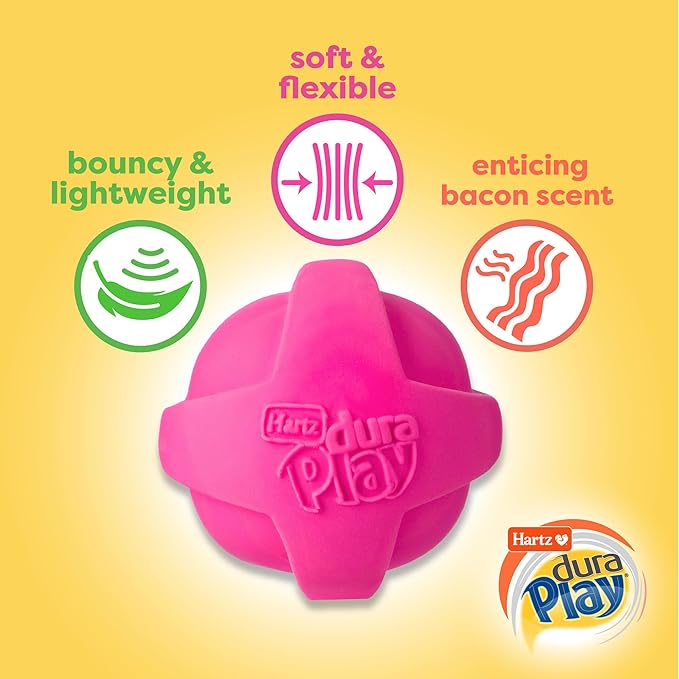 Hartz DuraPlay Bacon Scented Dog Toys, Large 1 Count, Colors May Vary (Pack of 2)