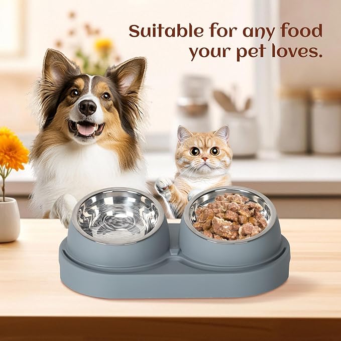 Cat Feeder and Water Dispenser, Feeding Station with Stainless Steel Bowls, Pet Food Dispenser for C for Dogs and Cats, Easy to Clean