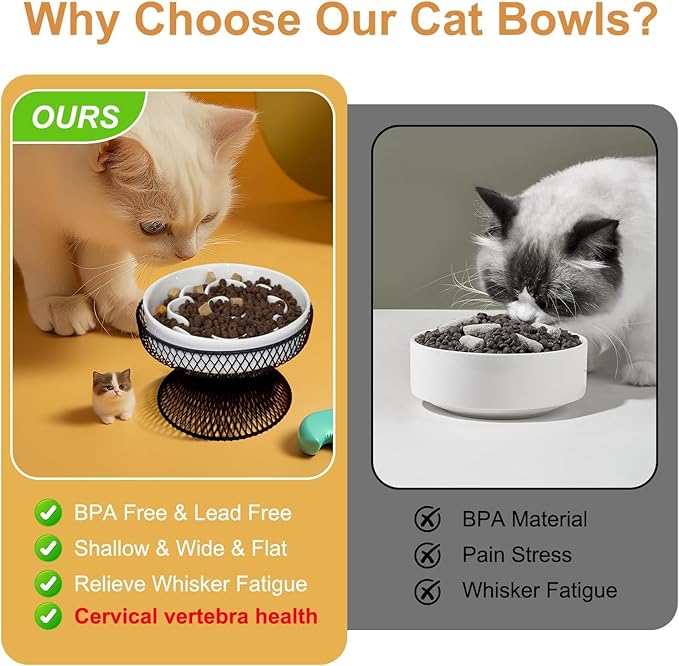 2PCS Raised Ceramic Cat Slow Feeder Bowl Elevated Food Bowl with Stand, Cat Slow Bowl for Wet Food and Dry Food,Slow Down Eating Speed, Whisker Friendly Pet Puzzle Feeder for Kitten and Small Dog