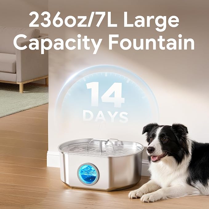 Cat Water Fountain Stainless Steel - Pet Drinking Fountain for Cats Indoor - 7L/236oz Automatic Water Dispenser with Watering Level Window (10 Filters)
