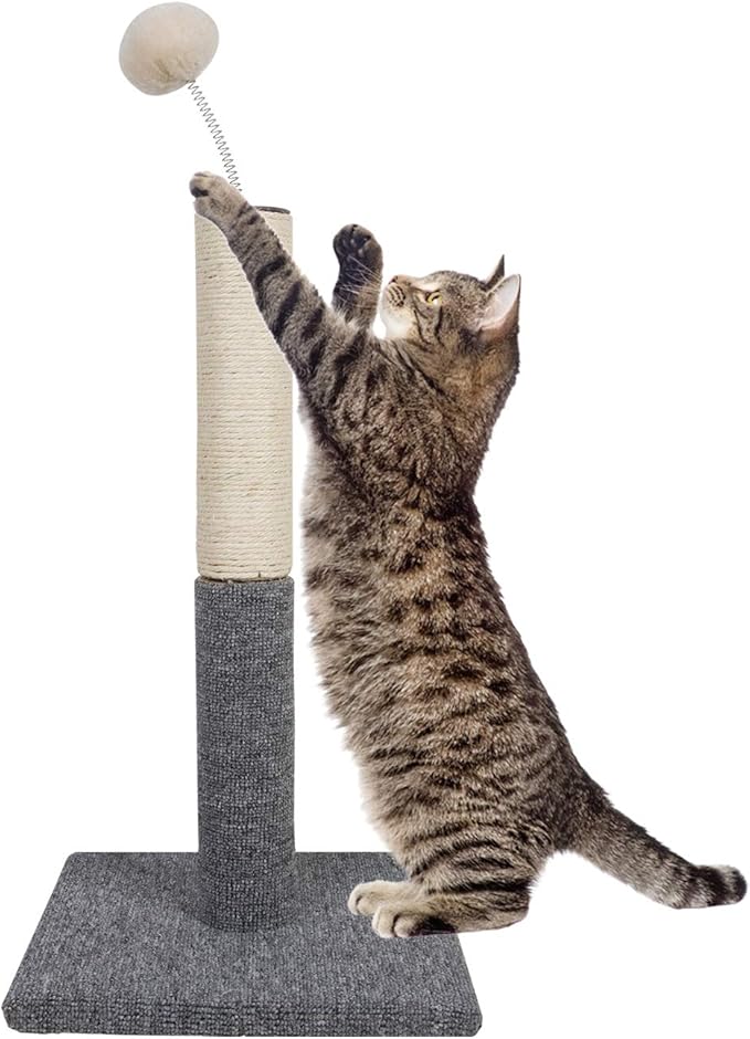 Cat Scratching Post with Carpet Botton Base and Spring Teasing Toy Ball for Indoor Cats and Kittens Grey
