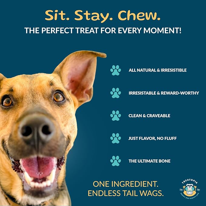 TREATOPIA Adventure Dynamo Beef Marrow Dog Bones 3” (6 Pack), Long-Lasting Natural Chews, Center-Cut Single Ingredient Treats, Slow-Roasted, Hand-Trimmed, Made in USA, No Additives or Fillers