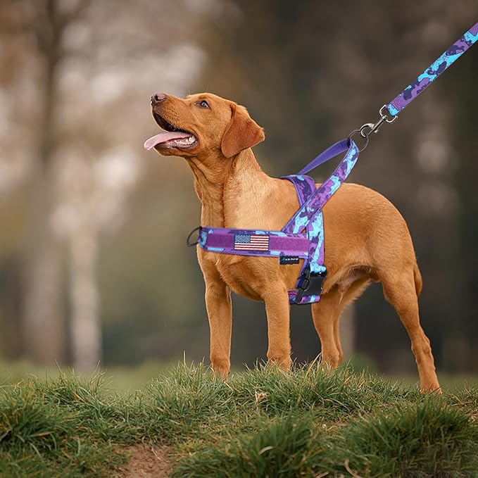 Annchwool No Pull Dog Harness with Soft Padded Handle,Escape Proof and Quick Fit to Adjust Dog Harness,Easy for Training Walking for Small & Medium and Large Dogs(Camo Purple,L)