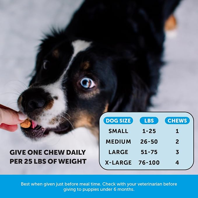 Omega 3 for Dogs Skin and Coat Supplement - Salmon Oil Fish Oil Chews for Itchy Skin Relief, Dry Skin, Shedding Control & Shiny Coat - Dog Vitamins with Biotin & Vitamin E (Salmon, 90 Ct)