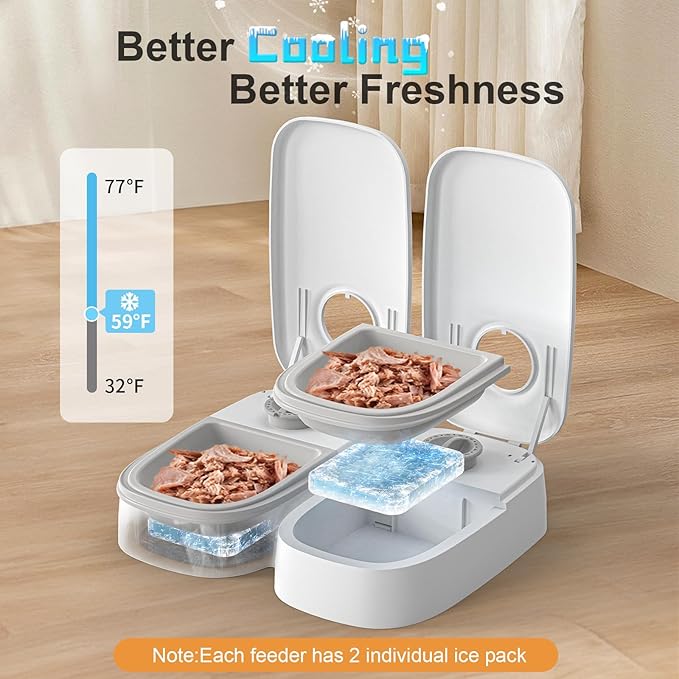 2-Meal Timed Cat Feeder, 48H Wet Food Dispenser with Ice Packs, 700ml Capacity, Battery Powered for Cats & Small Dogs