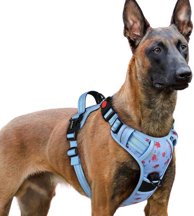 rabbitgoo Dog Harness for Large, No Pull Easy On & Off with 3 Buckles Pet Harness, Adjustable Soft Walking Vest with 2 Clips and Handle, Reflective for Extra Large Dogs, Floral Blue, XL