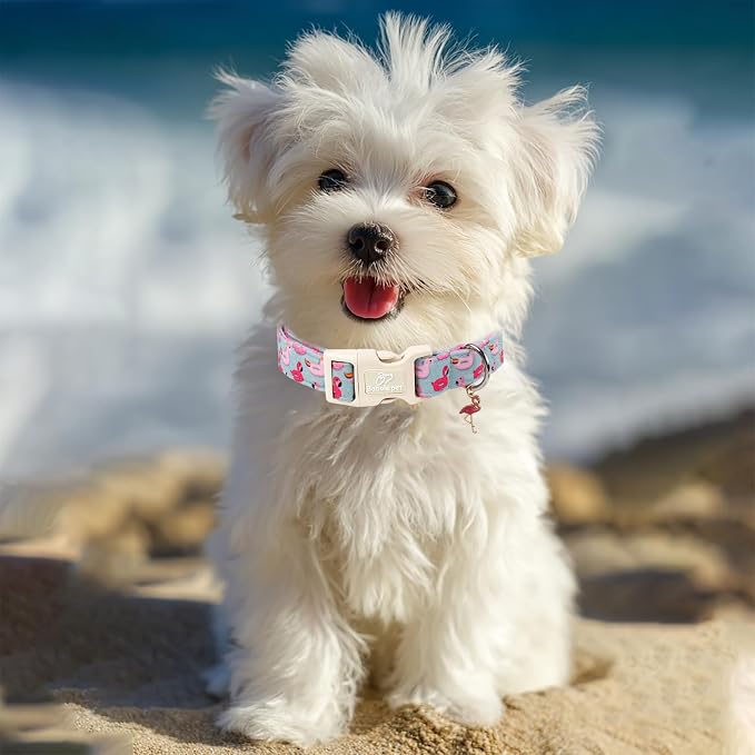 Summer Dog Collar Cute Flamingo Float Dog Collars for Small Dogs - Lightweight Adjustable Male Female Dogs Everyday Collar with Quick Release Buckle S
