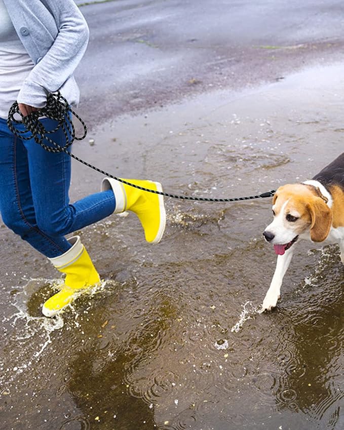 Long Dog Leash for Training - 10FT/16FT/30FT/50FT/100FT, Reflective, Heavy Duty for Large, Medium, Small Dogs - Walking, Playing, Camping, Yard