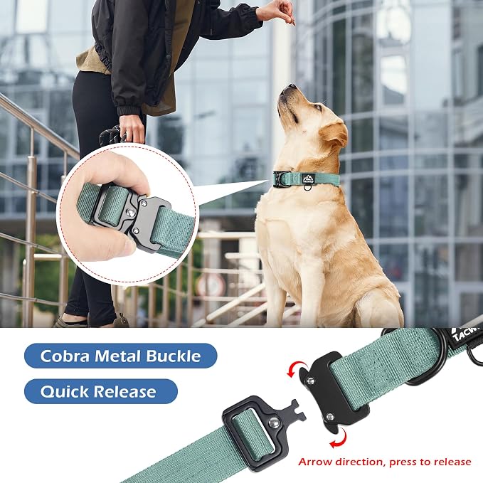 Dog Collar for Small Dogs Christmas Boy Girl - Adjustable, Chew Proof Nylon Collar with Metal Quick Release Buckle and D-Ring for Dog Tags (Florida Seaside, S(0.5''Width, Fit 11''-15''))