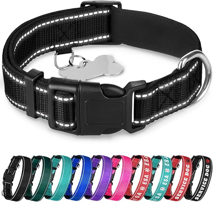 TECEUM Reflective Dog Collar – Black – M – Extra Soft Padding – Basic Nylon Pet Collar – Quick Release Buckle – Fits Small, Medium and Large Dogs, Puppies, Cats – ESA & Service Dog Options