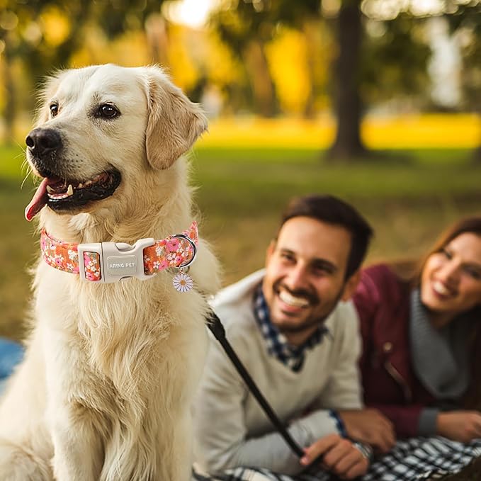 ARING PET Spring Summer Dog Collar, Cute Daisy Wildflower Floral Blossom Pet Collars for Small Medium Large Girl Dogs-XL Size