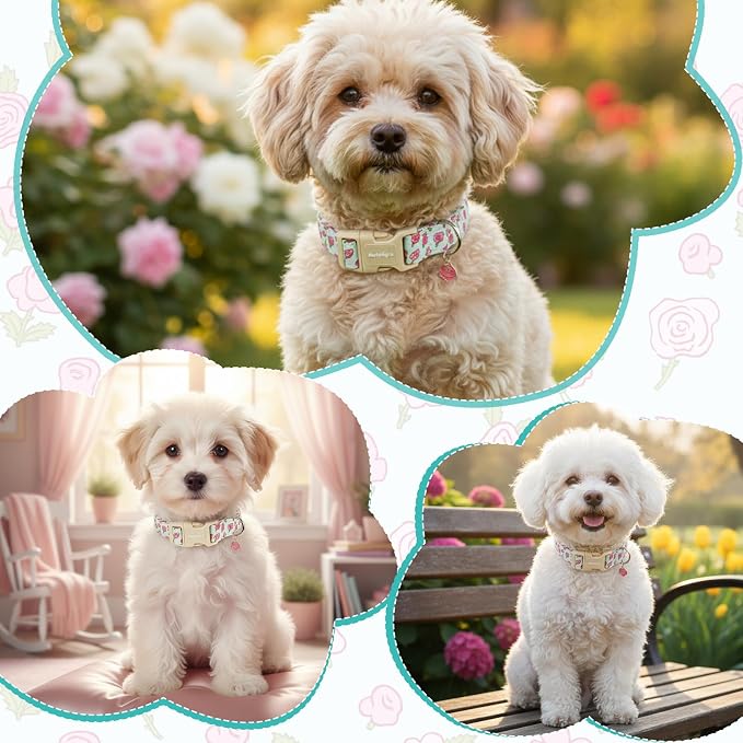 Dog Collar for Small Dogs, Spring &Summer Theme Blue Small Dog Collars with Pink Rose Pattern, Adjustable Puppy Dog Collars, Cute Girl or Boy Dog Collar Ideal for Gifts,Pet Accessory