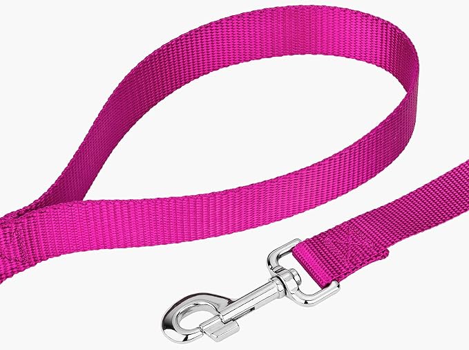Country Brook Petz - Everyday Nylon Dog Leash - Strong, Durable, Solid Color Leash with Easy to Use Snap - 25+ Colors (1 Inch Wide, 6 Foot, Fuchsia)