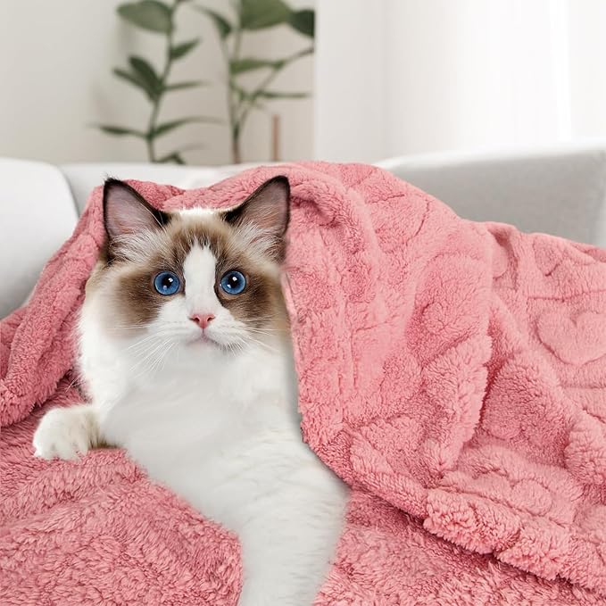 MACEVIA Dog Blankets for Medium Dogs Small Dogs Washable Pet Cat Puppy Blanket for Couch Sofa Bed Soft Fluffy Fleece Heart Throw for Pet Kitten Doggy (29x40 Inch, Pink) | Warm Soft Washable Pet Bed Cover, Fuzzy Puppy Pets Blanket for Dogs and Cats,Plus...