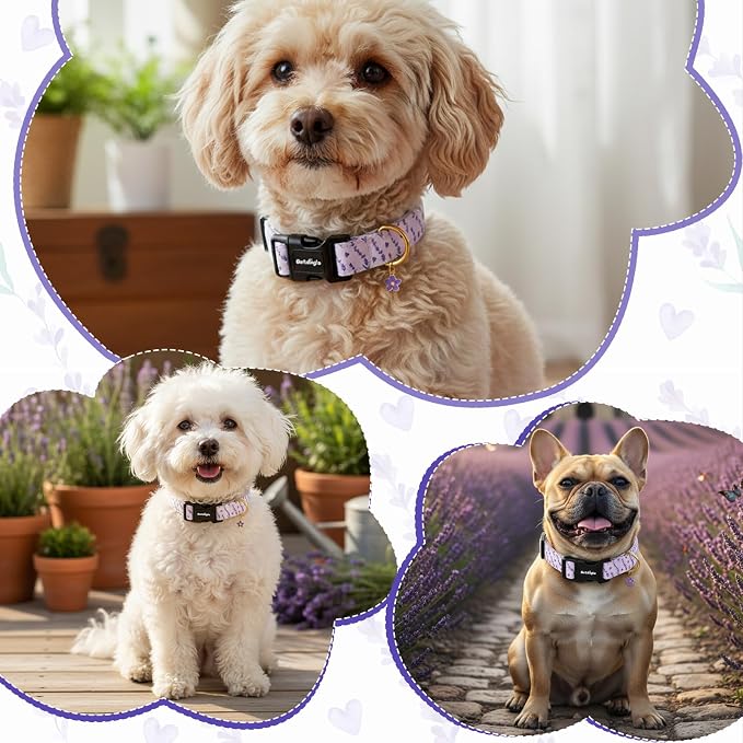 Dog Collar for Medium Dogs, Spring Purple Dog Collars with Flowers Pattern, Adjustable Cotton Dog Collars, Cute Girl or Boy Dog Collar Ideal for Gifts,Pet Accessory