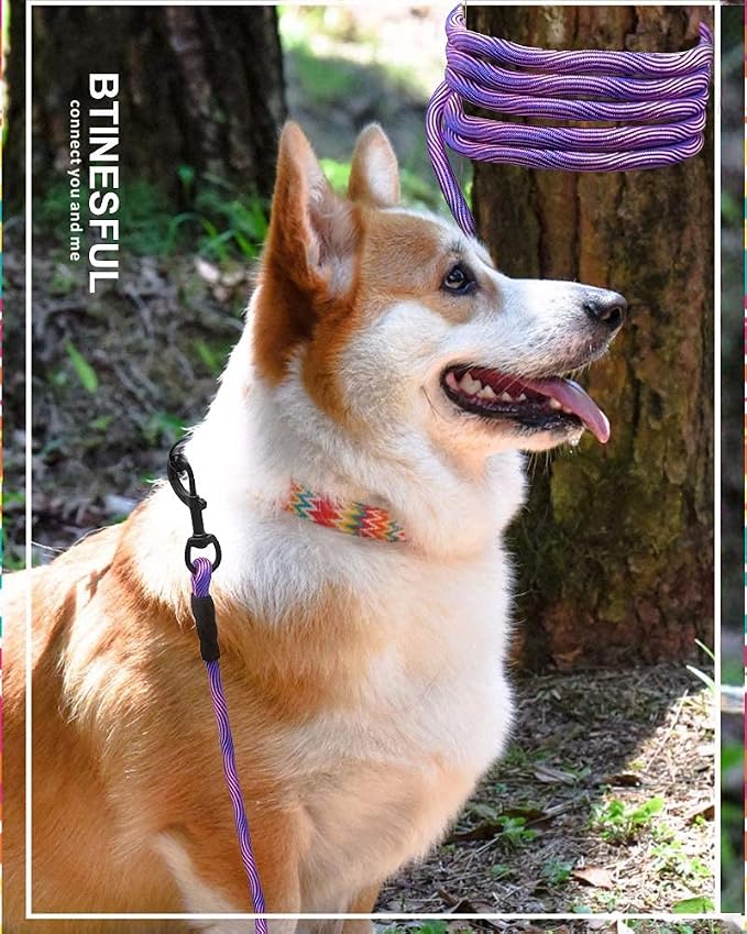 BTINESFUL 8ft/12ft/20ft/30ft/50ft/75ft Dog Tie-Out Long Tether Rope Leash, Outdoor Dog Lead for Yard- Large Medium Dogs Training, Playing, Camping, Backyard Leash (20ft, Pink Blue)