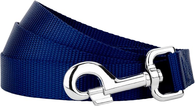 Country Brook Petz - Everyday Nylon Dog Leash - Strong, Durable, Solid Color Leash with Easy to Use Snap - 25+ Colors (1 Inch Wide, 4 Foot, Royal Blue)