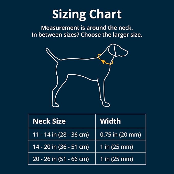 Ruffwear, Crag Dog Collar, Stylish Adventure Collar with Premium Reflective Design, Quick Release Buckle, Lightweight All-Day Comfort, Midnight Wave, 14"-20"