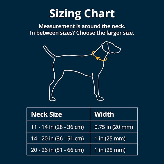 Ruffwear, Chain Reaction Dog Collar, Adjustable Reflective Martingale Escape-Proof Collar with Stainless Steel Chain, Professional Training Control, Blue Pool, 14"-20"