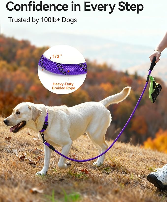 Joytale Dog Leash for Large Dogs, Heavy Duty Nylon Leashes with Comfortable Padded Handle and Highly Reflective Threads, Ideal for Walking and Training, Purple, 6'×1/2''