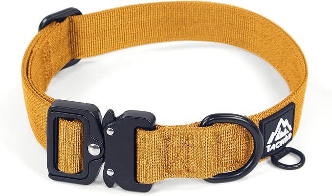 Medium Dog Collar Boy Girl - Adjustable, Chew Proof Nylon Collar with Metal Quick Release Buckle and D-Ring for Dog Tags (Turmeric Yellow, M)