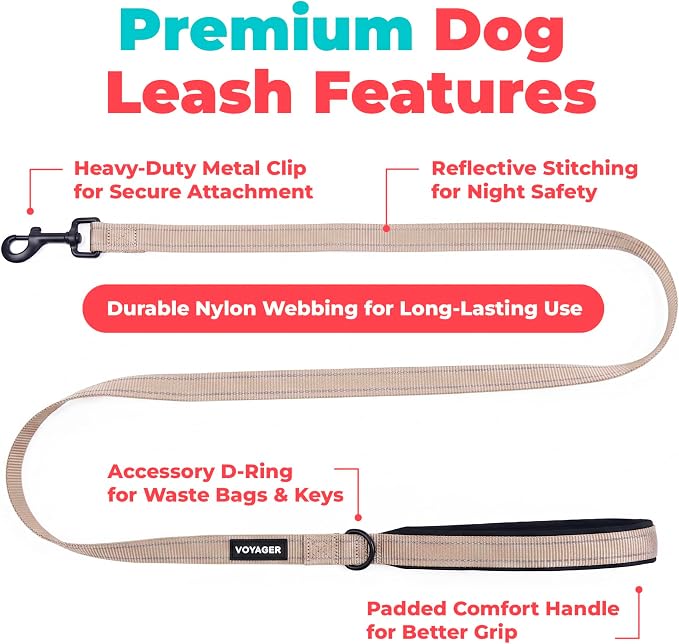 Best Pet Supplies Voyager Reflective Dog Leash or Collar with Neoprene Handle, for Small, Medium, and Large Breed Puppies, Cute and Heavy Duty for Walking, Running and Training - Khaki (Leash), S