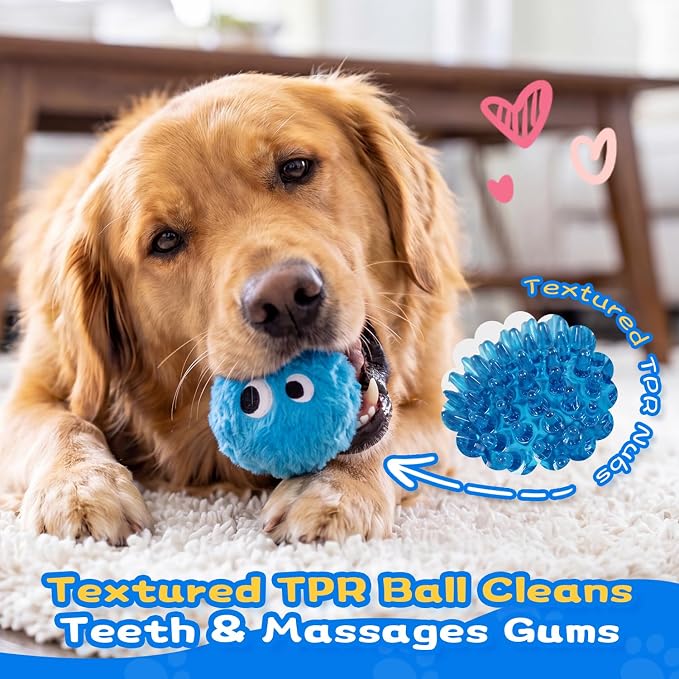 lilfrd Squeaky Dog Chew Toys, Spiky Bouncy Rubber Dog Toy Balls, Plush Toy for Small Medium Dogs, Teeth Cleaning