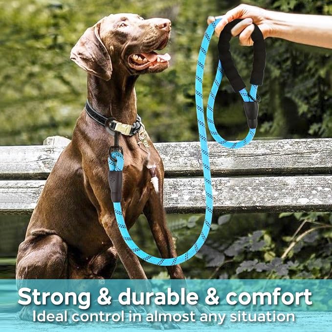 COOYOO Dog Leash 6 FT Heavy Duty - Comfortable Padded Handle - 1/2 inch Reflective Dog Leash for Medium Large Dogs with Poo Bag Dispenser