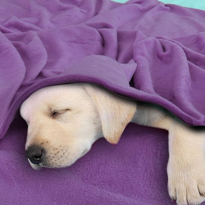 uxcell Flannel Fleece Blanket Full Size - Soft Lightweight Plush Microfiber Bed Blanket for Sofa or Couch, Machine Washable Blankets Fleeces, Dark Purple 70x78 Inch