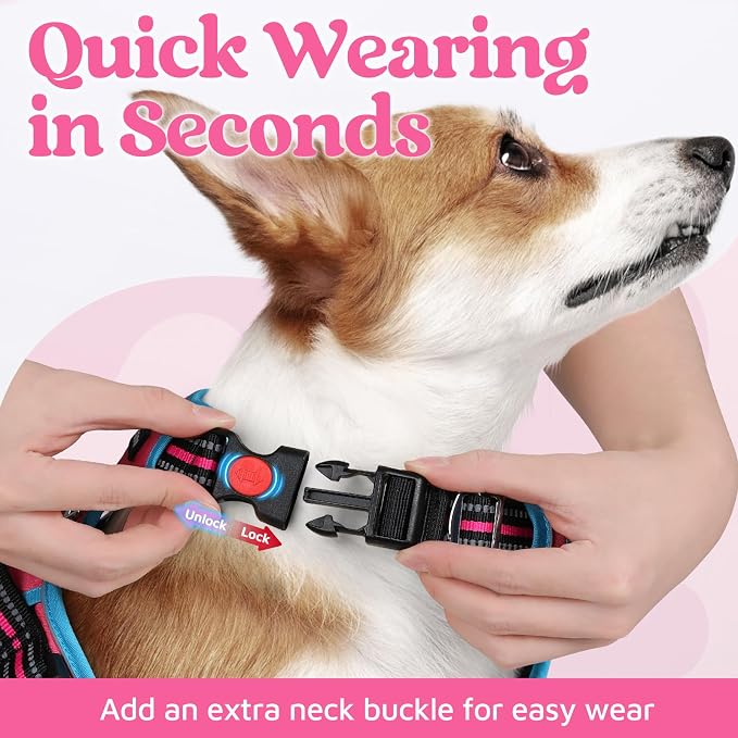 rabbitgoo Dog Harness Small Sized, 3 Buckles Easy On & Off No Pull Pet Vest, Soft Padded Walking Pet Harness with Control Handle, Adjustable and Reflective, Rose Pink & Blue, S