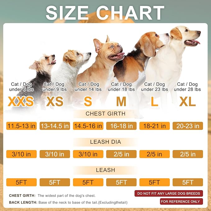BEAUTYZOO Step in Dog Harness and Leash Set,Reflective Dog Harness No Pull No Choke Puppy Harness for Small Medium Large Dogs Cats,Soft Padded Mesh Vest Harnesses for Girl and Boy Pets,Dinosaurs S