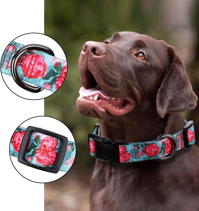 Girl Dog Collars Summer Floral Rose Print, Female Flower Collar, Turquoise, Large