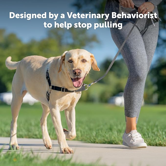 PetSafe Easy Walk No-Pull Dog Harness - Ultimate Harness to Help Stop Pulling - Pull-Free Walks - Take Control & Teach Better Leash Manners - Patented Martingale Loop Design - Royal Blue, Large