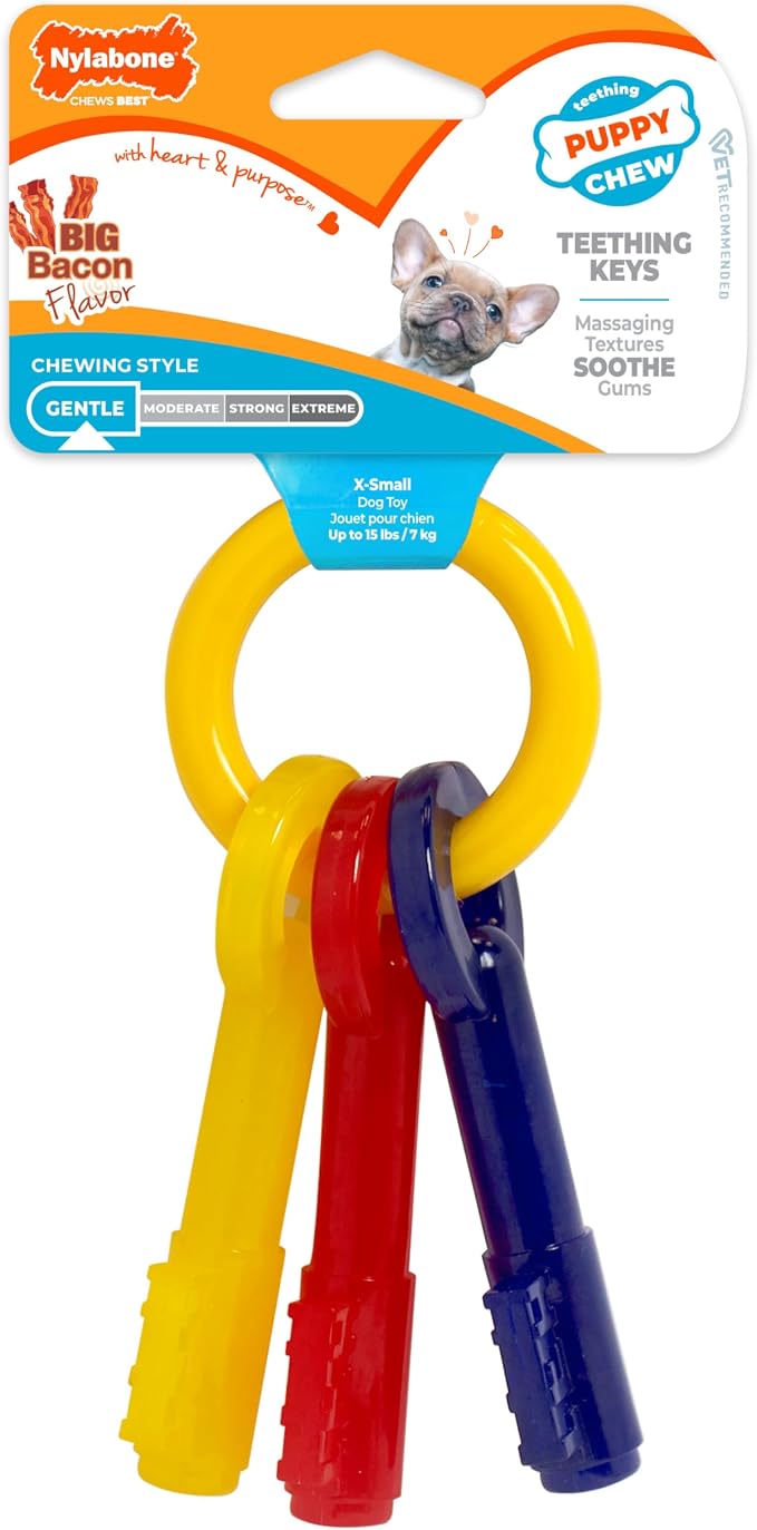 Nylabone Puppy Chew Key Ring Toy, Toys for Teething Puppies, Multi Color, Bacon Flavor, X-Small - Up to 15 lbs, 1 Count