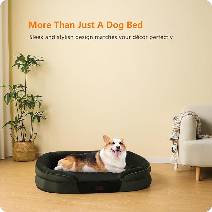 Dwanton Orthopedic Dog Bed for Medium Dogs with Gel Memory Foam, Waterproof Dog Sofa, Washable Pet Bed with Four Sided Bolster Cushion, Removable Cover & Non-Slip Bottom, 36", Green