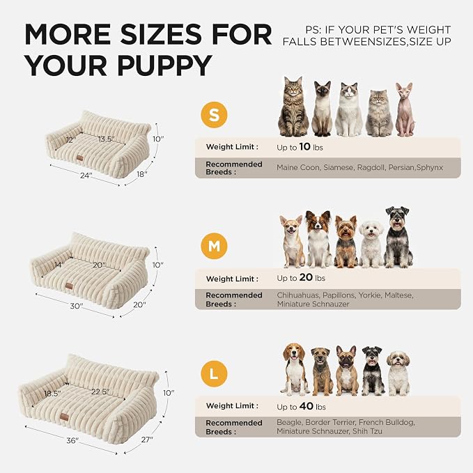 Joydeco Cat Couch for Pets, 36 inch Plush Pet Sofa, Cat Bed for Indoor Cats with Removable Washable Cover, Supportive Pet Sofa, Cream