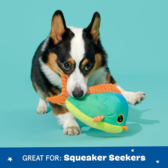 Barkbox Maggie Mahi Dog Toy | Plush Dolphinfish with Whip-N-Flip Fins, Squeaker & Fluffy Filling | Thrash & Squeak Toy for Small to Medium Dogs