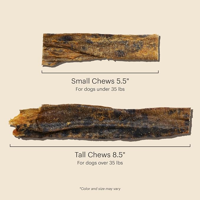 The Honest Kitchen Human Grade Ocean Chews Hearty Wolffish Skins Dog Treats, 6 oz (Beams)