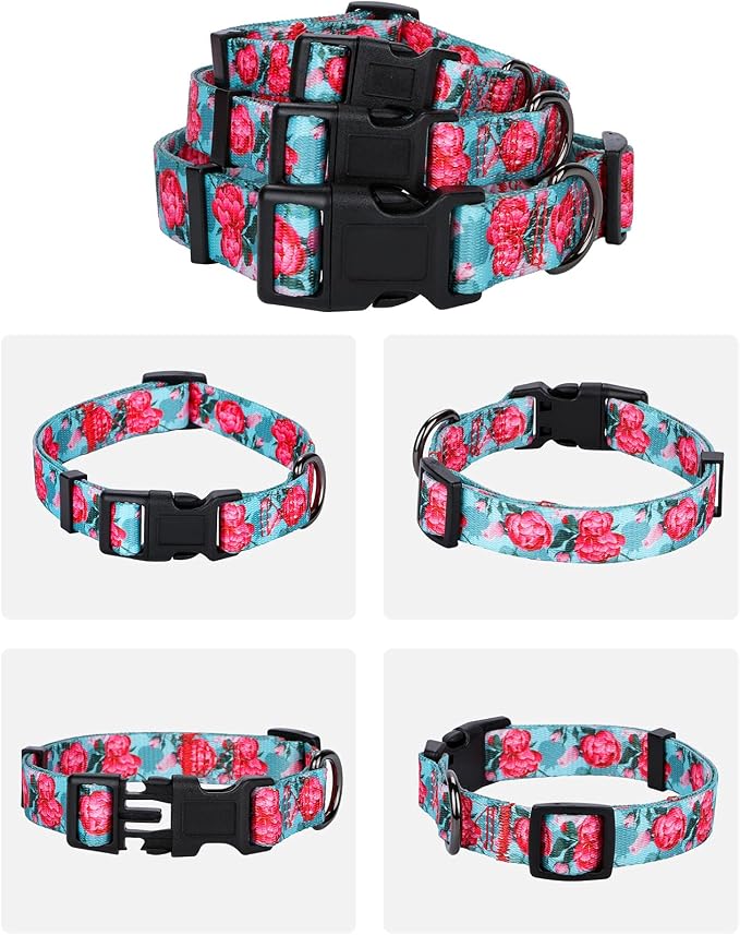 Girl Dog Collars Summer Floral Rose Print, Female Flower Collar, Turquoise, Large