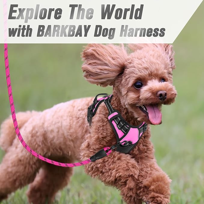 BARKBAY No Pull Dog Harness Front Clip Heavy Duty Reflective Easy Control Handle for Large Dog Walking(Pink,XS)