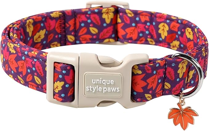 Unique style paws Dog Collar Plastic Buckle with Pendant Colorful Maple Leaf Puppy Collars for Small Medium Large Boys Girls Dogs