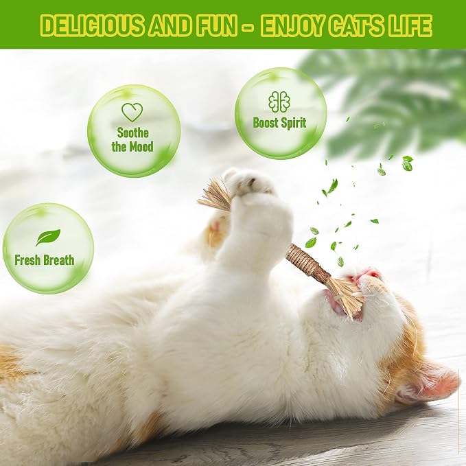 Silvervine Sticks Cat Chew Toys for Indoor Cats Dental Care Teeth Cleaning, Natural Kitten & Cat Teething Toys for Health, Cat Chew Stick Treat Edible Suitable for All Breeds of Aggressive Chewers Cat
