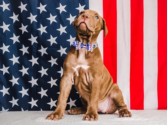 Maca Bates American Flag Dog Collar with Stars Bow Tie for Dogs Bowtie 4 of 7 Blue Red and White Adjustable Durable Patriotic Star Collars USA Independence Day for Small Medium Large Boy Girl Puppy