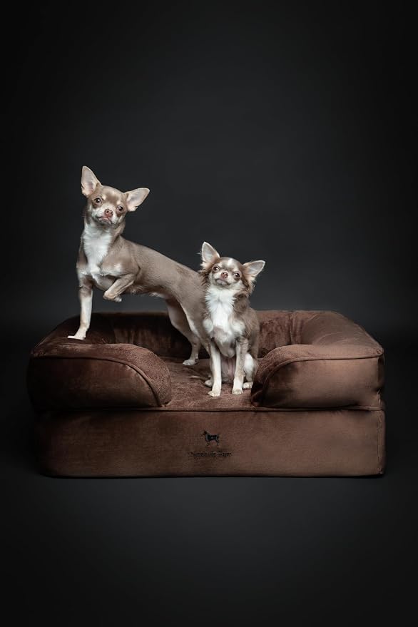 NOAH & PAW Dog Bed, 28x23x11 Inch, Orthopedic Dog Beds for Medium Size Pets, Eggshell Memory Foam Infused with Cooling Gel, Inner Cover, Water Resistant, Machine Washable (Velvet Sofa Collection)