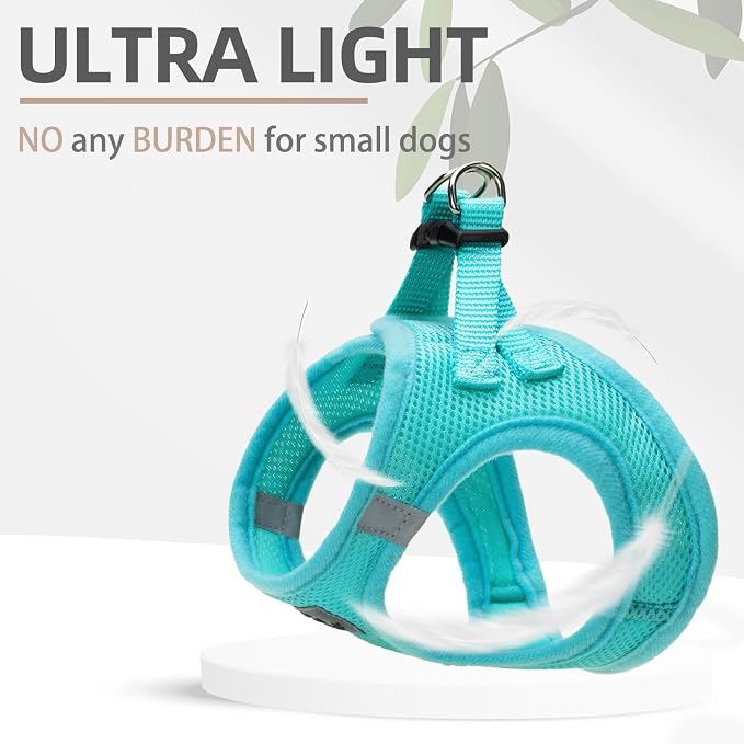 PUPTECK Adjustable Dog Harness Collar and Leash Set Step in No Pull Pet Harness for Small Medium Dogs Puppy and Cats Outdoor Walking Running, Soft Mesh Padded Reflective Vest Harnesses, Turquoise S